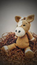 Load image into Gallery viewer, Aspen the Donkey. Handmade Crochet  Baby Donkey Gift Box
